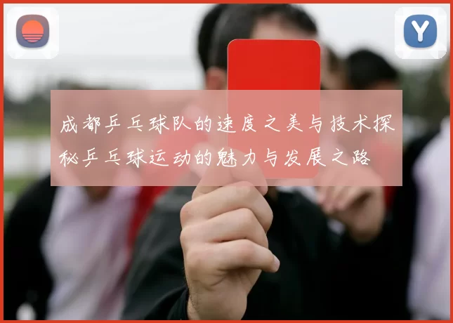 成都乒乓球队的速度之美与技术探秘乒乓球运动的魅力与发展之路