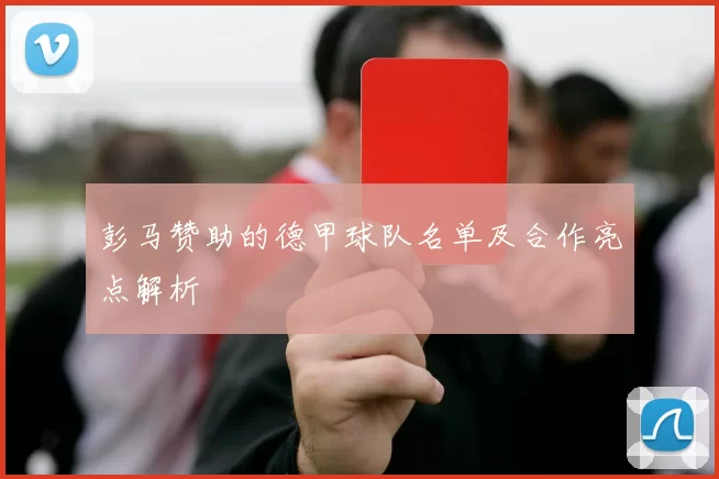 彭马赞助的德甲球队名单及合作亮点解析