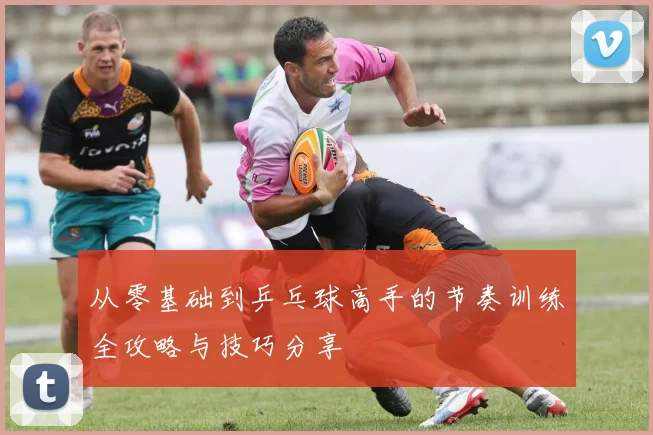 从零基础到乒乓球高手的节奏训练全攻略与技巧分享