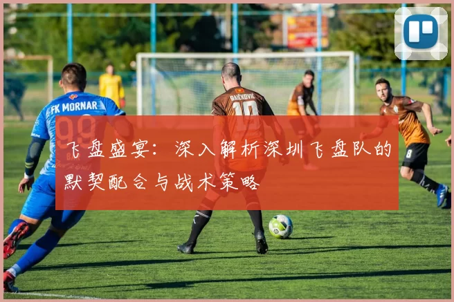 飞盘盛宴：深入解析深圳飞盘队的默契配合与战术策略